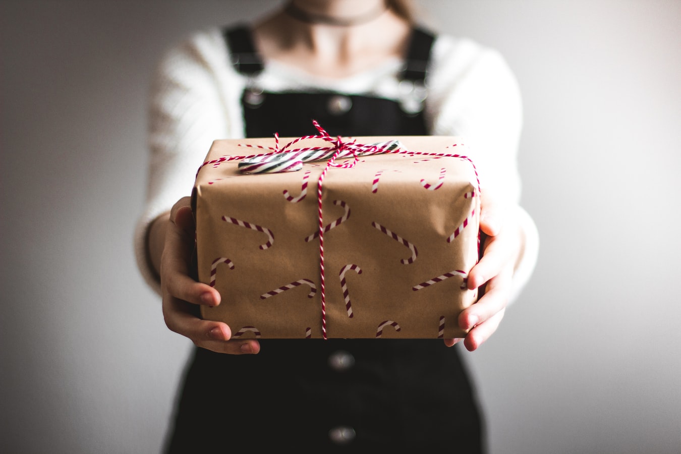 nonprofit christmas gifts